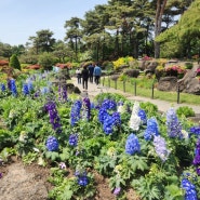 파주 벽초지수목원 - 입장료 할인, 봄꽃축제