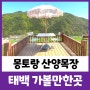 몽토랑 산양목장 태백 필수 여행 코스