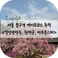 서울 꽃구경 데이트코스 추천 - <밀양손만두, 창덕궁, 아트몬스터>