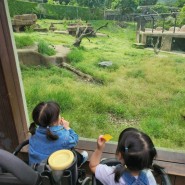 아기랑 서울대공원 동물원 오픈런 :: 입장권, 코끼리열차, 주차 팁