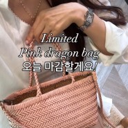 막차타세요🔥 한정수량만 준비된 신상 컬러 핑크 드래곤백!
