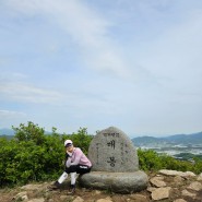 장수 봉화산 철쭉 군락지::매봉 최단코스