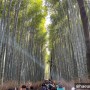 4월 정리하기 / 각종 먹부림, 오사카여행, 광릉수목원 산책, 사무실 이사, 클라이밍으로 마무리