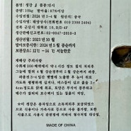 씨생강 쪼개기, 소독, 싹 틔우기