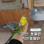 경남 양산 아기랑 가볼 만한곳 : 작은동물원🦜/실내동물원,먹이주기체험 (22개월 아기랑👼)