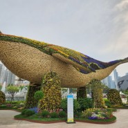 2024 고양꽃박람회 - 일정, 야외전시장, 일산호수공원