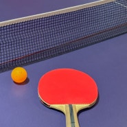 weekly / ping-pong 🏓