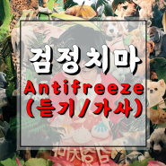 [노래/추천] 검정치마 - Antifreeze (듣기/가사)