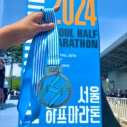 서울하프마라톤 완주후기 : 페이스 차트