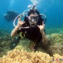 [베트남 배낭여행] 나트랑 산호초 체험 다이빙 & 스노클링 투어