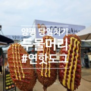 경기도 당일치기 여행 양평 두물머리 맛집 연핫도그 | 주차장 요금