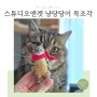 스튜디오 앤캣 우리 고양이 굿즈 냥당당이 목각인형 목조각 주문제작 후기
