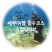 세부여행 필수코스 막탄 다이빙체험 스컬다이브