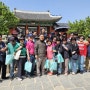 중.고등학교 동문회, 창경궁(昌慶宮) 봄나들이 산책