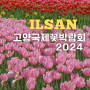 고양국제꽃박람회 2024 일산호수공원 꽃축제 주차 임시주차장 위치 입장료 할인 후기