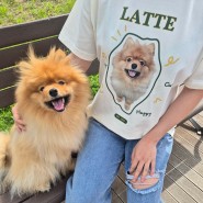 애견 커스텀 티셔츠 : 반려동물 강아지 사진으로 제작하는 루키메이커 반팔 티셔츠