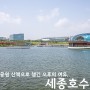 세종시 데이트 가볼만한곳 세종호수공원 피크닉 장소 청주 대전 근교 나들이
