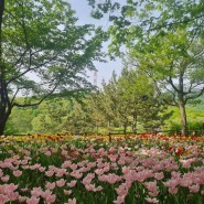 2404 인천대공원, 인천수목원 나들이 후기