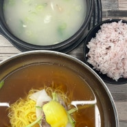 대전 둔산동 정부청사역 밀면 국밥 짬뽕 맛집 부산면관