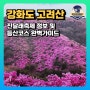 강화 고려산 등산코스, 진달래축제, 주차장 정보 깔끔하게 소개합니다!