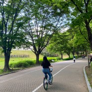 올림픽공원 피크닉 자전거 산책 후 카페 즐기기