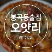 창원 봉곡동술집 안주 맛집 ‘오얏리’