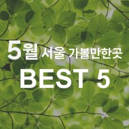 2024년 5월, 서울 축제•가볼만한곳 BEST 5 🎉
