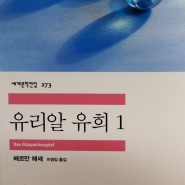 비평과 깨달음의 조화, (유리알 유희 / 헤르만 헤세)