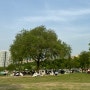 [반포] 이렇게 날씨 좋을 땐 한강 피크닉 🧺 (반포한강공원 텐트 대여)