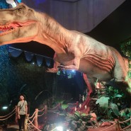 공룡전시 다이노스 얼라이브 어린이날 방문 추천해요!