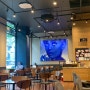 [서울/종로] 커피빈 광화문점 넓은 내부 카페 추천 후기