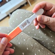 [임신일기] 6주, 임신확인/ 아기집+난황/ 임신확인서/ 제주보건소방문