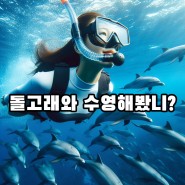 [준비편] 프리다이빙 버킷리스트 돌고래 다이빙. 일본 미쿠라지마가기