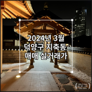 2024년 3월 덕양구 지축동 매매실거래가(시세)