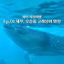 [세부 자유여행] ep01. 세부, 오슬롭 고래상어 와칭 도착 (택시 이용 및 웨이팅 팁)