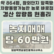 경산 압량 현흥리 농지매매 - 참외단지 바로 인근 땅, 3-4m 농로 바로 접