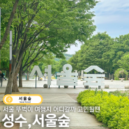 서울 뚜벅이여행지 서울숲 산책 피크닉 둘다 가능해