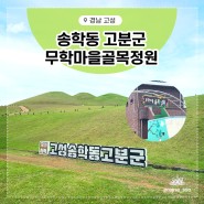 고성 송학동고분군 세계문화유산 코스 둘러보기 무학마을골목정원 벽화 여행