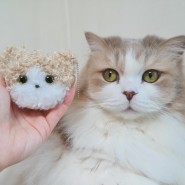 모루인형 만들기 고양이집사 모임, 뽀글이모루 밍크모루인형