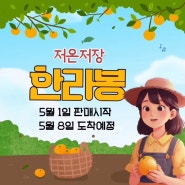 저온저장 [한라봉] 5월8일 어버이날 도착예정