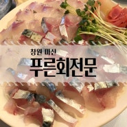 [창원 맛집] 마산 합성동 횟집 고등어회 참돔 맛집 푸른회전문 합성점