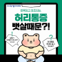 송산허리통증 유발하는 뱃살! 간단하게 앉아서 빼는 방법