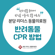 반려동물 CPR 방법 - 24시 분당 리더스 동물의료원(오리역 동물병원, 분당 동물병원, 용인 동물병원)