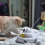 심심해하는 고양이를 위한 움직이는 고양이 자동 장난감 캣티즈