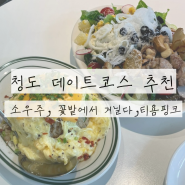 청도 당일치기 여행 가보자고 feat 소우주, 꽃밭에서 거닐다