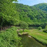 대전 5월 가정의달 가족이랑 가볼만한곳 [상소동산림욕장]