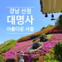 가볼만한곳 아름다운 사찰, 경남산청 대명사 꽃잔디 천국