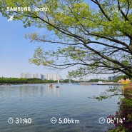 [달리기] (4) 20240501 일산호수공원 러닝