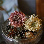 드라이플라워 만들기: 미니장미 거베라 꽃말