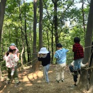 청계산숲자람터 4세7세 진짜 숲속에서하는 생태 숲체험 서울숲체험